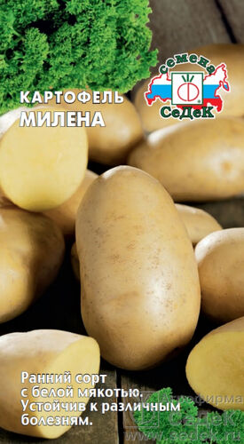 Картофельные семена Милена (СД) 