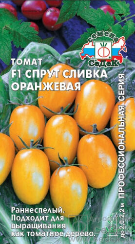 Томат Спрут сливка оранжевый (СД)