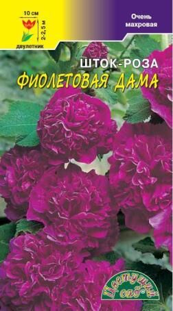 Шток-роза Фиолетовая дама (ЦВ) ДВУЛЕТ