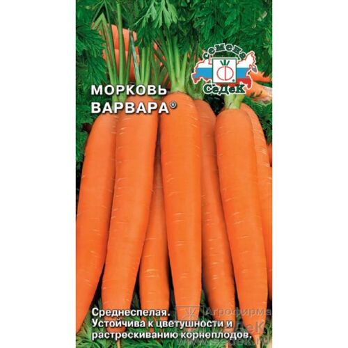 Морковь Варвара (СД) 