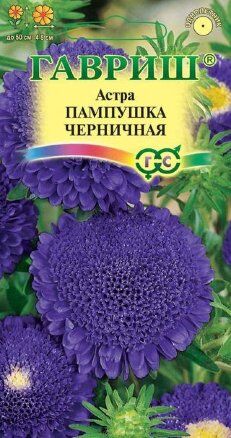 Астра Пампушка черничная 0,3 г  (ГАВ)
