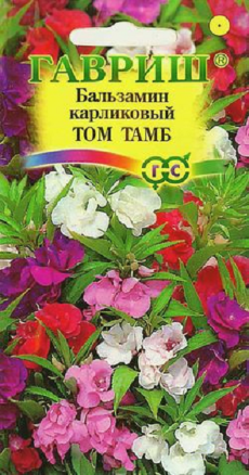 Бальзамин Том Тамб  0,1г (ГАВ)