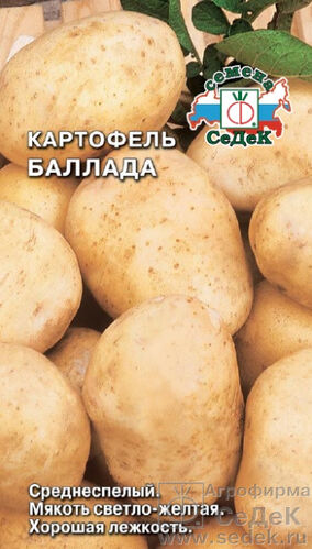 Картофельные семена Баллада (СД) *