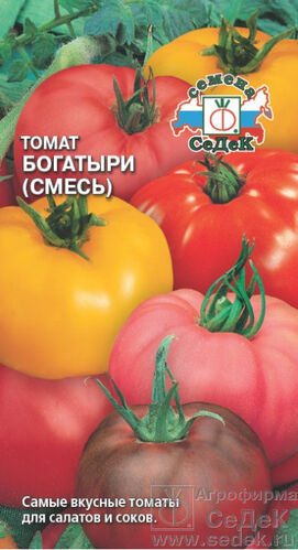Томат Богатыри (смесь самых крупноп томатов для салата) (СД) 