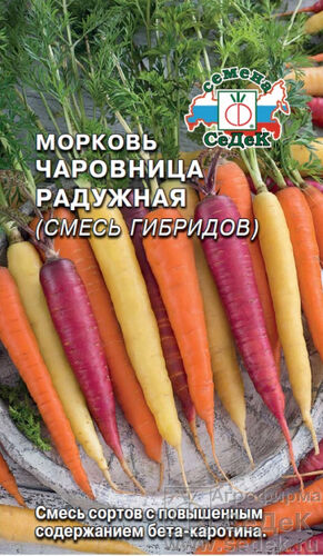 Морковь Чаровница Радужная (СД)
