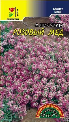 Алиссум Розовый мед (ЦВ)